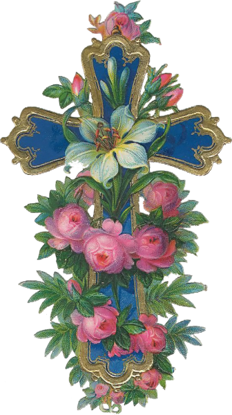 TUBE CROIX