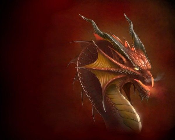 FOND D ECRAN DRAGON