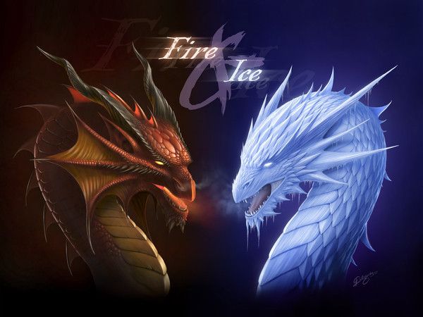 FOND D ECRAN DRAGON