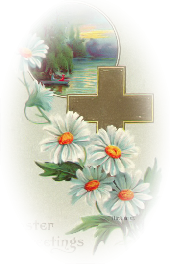 TUBE CROIX