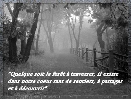 citation