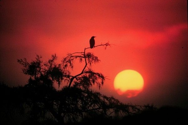 fond d'ecran coucher de soleil