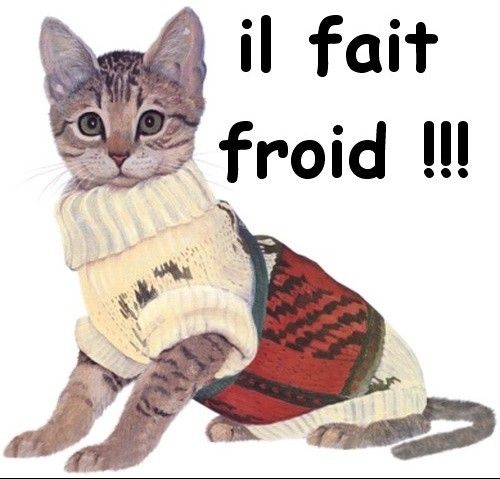 froid