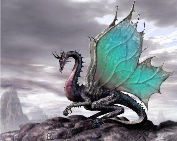 FOND D ECRAN DRAGON