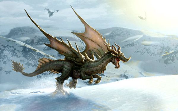 FOND D ECRAN DRAGON