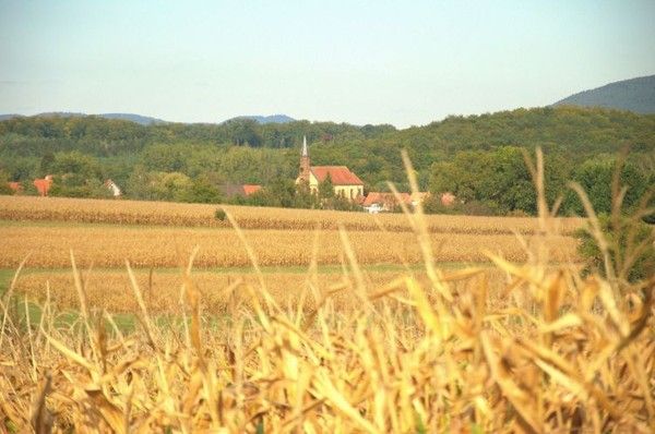 FOND D ECRAN AUTOMNE