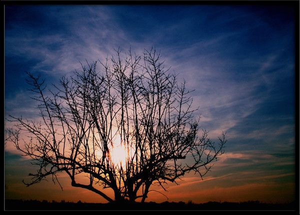 fond d'ecran coucher de soleil