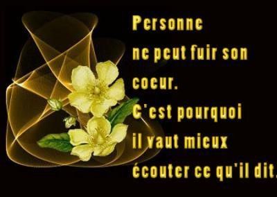 citation