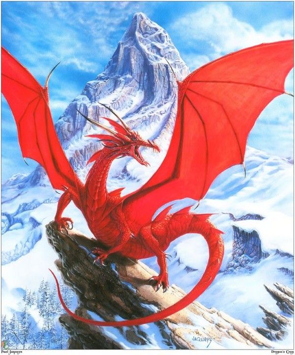 FOND D ECRAN DRAGON