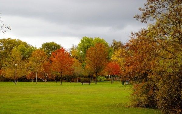 FOND D ECRAN AUTOMNE